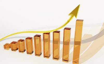 Un anno dalla pubblicazione del sito internet – ecco i dati